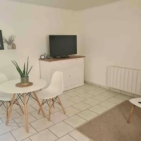 Joli Appartement Avec Coin Jardin Chalon-sur-Saone Exterior photo