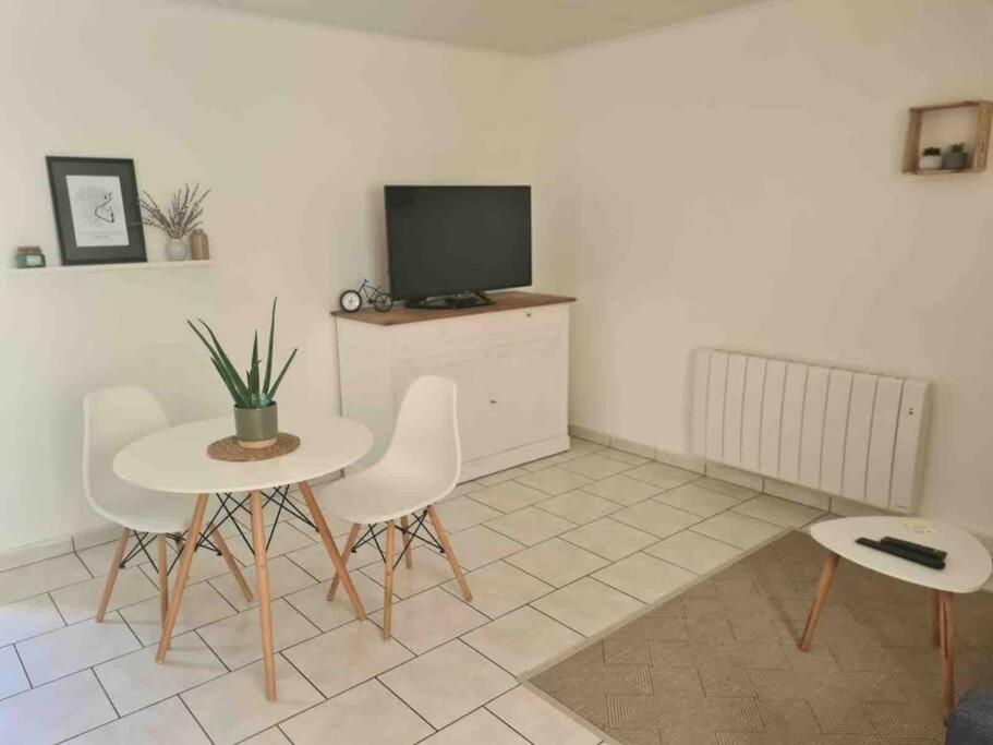 Joli Avec Coin Jardin Apartment Chalon-sur-Saone